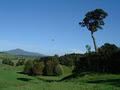 Tangowahine Farm and Rural Retreat logo