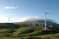 Tararua i -SITE Visitor Centre image 5