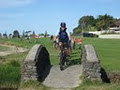 Tauranga Bike Tours image 3