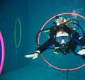 Tauranga Underwater Centre image 2