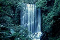 Te Urewera Rainforest Route - Southern Gateway image 3