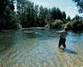 Te Urewera Rainforest Route - Southern Gateway image 6