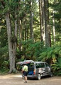 Te Urewera Shuttle image 2