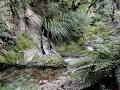 The Brook Waimarama Sanctuary Trust Office image 6