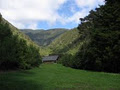 The Brook Waimarama Sanctuary image 2