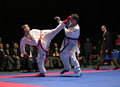 The Dojo image 4