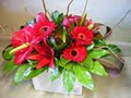 The Flower Barrow Boutique Florist Napier image 5