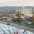 The Nautilus Orewa image 5