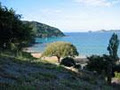 The Waterfront Suites Paihia image 3