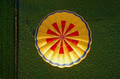 Tim Whittaker Photography Ltd image 6