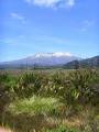 Tongariro National Park image 3