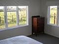 Tuki Vineyard Cottage Accommodation image 5