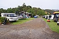 Tutukaka Holiday Park image 3