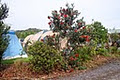 Tutukaka Holiday Park logo
