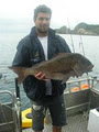 Ultimate Fishing Charters image 4