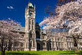 University of Otago Language Centre and Foundation Year image 2