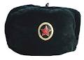 Ushanka Hat logo