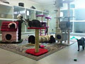 VetCare Grey Lynn image 5