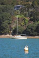 Visit Waiheke image 5