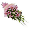 Waikato Flowers & Florist - Bryan's Plants & Flowers image 1