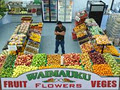 Waimauku Fruit & Vege & Flowers logo