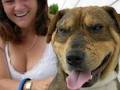 Wellington SPCA image 6