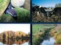 West Coast Regional Council image 5