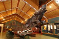 Whanganui Regional Museum image 2