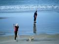 Whangapoua Beach Store image 4