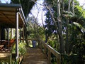 Wharepuke Subtropical Accommodation Kerikeri logo