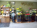 Windsorflorist logo