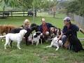 Woodcote Farms Boarding Kennels and Cattery image 4