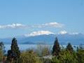 YHA Taupo Backpacker Hostel Accommodation image 6