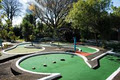 palmy fun park image 2