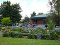 'The Cottage' Lake Karapiro / Cambridge image 3