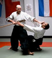 Aikido Tenshindo Wellington logo