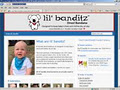 Aliarts Website Marketing & SEO image 4