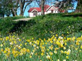 Banks Peninsula, Little River Bed and Breakfast image 4