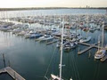 Bayswater Marina image 1