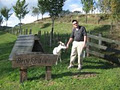 Broekhaven Country Cottage logo