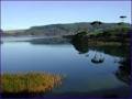 Dave Gilbert Hypnotherapy: Hypnosis, NLP & Coaching in Auckland image 5