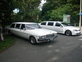 Elite Limos image 5