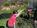 Greytown Primary School image 1