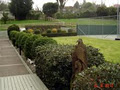 Hamilton Property Care Ltd image 5