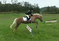 Helensville Riding School logo