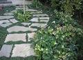 Landscape Design Company image 6