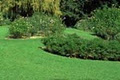 North Shore Lawn & Garden Services image 6