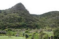 Piha Valley Lodge image 2