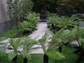 RLD Landscape Solutions Ltd image 6