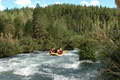 Raftabout White Water Rafting - Rangitaiki River Base image 3